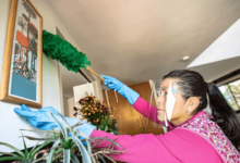The Modern Role of a Domestic Helper in Urban Lifestyles