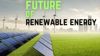 Understanding Solar Panels: The Future of Renewable Energy