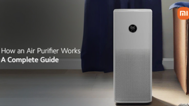 How an Air Purifier Works - A Complete Guide