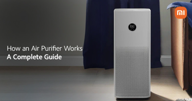 How an Air Purifier Works - A Complete Guide