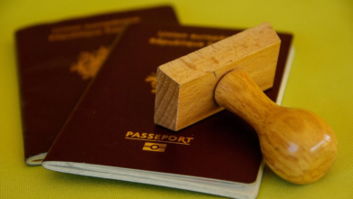 The Role of an O1 Visa Lawyer in a Successful Visa Approval