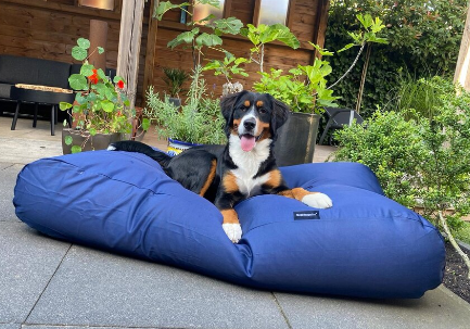 Outdoor Dog Bed Cover: A Practical Solution for Pet Comfort and Durability
