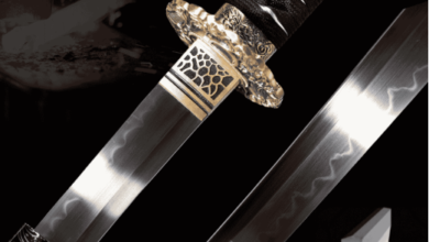 The Katana's Hidden Worth: Why These Japanese Swords Rule the Collector's World