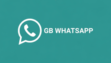 Download GBWhatsApp – Everything You Need to Know