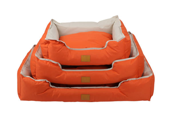 Upgrade Your Pup’s Sleep with Trendy Dog Beds