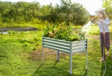 Revolutionize Your Gardening with Credit Management Tips