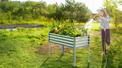 Revolutionize Your Gardening with Credit Management Tips