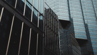 Transform Your Living Space with Stylish Privacy Window Film