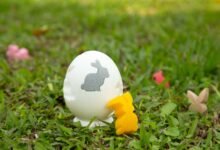 The Right to Repair: Fixing Household Appliances Invisibly