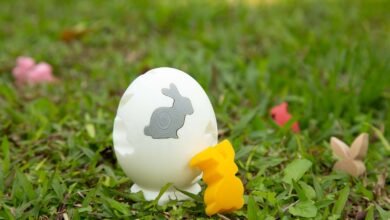 The Right to Repair: Fixing Household Appliances Invisibly