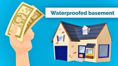The Business Case for Basement Waterproofing: Why This Industry Keeps Growing