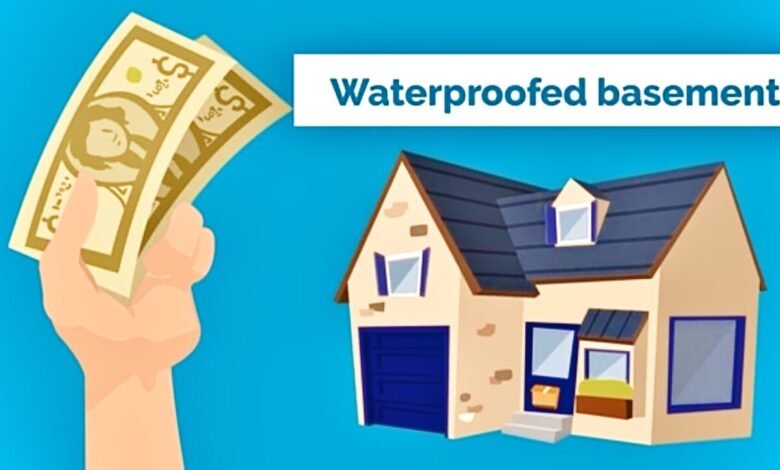 The Business Case for Basement Waterproofing: Why This Industry Keeps Growing